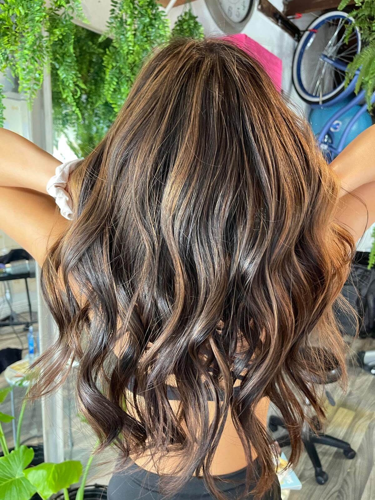 Roots Touch Up